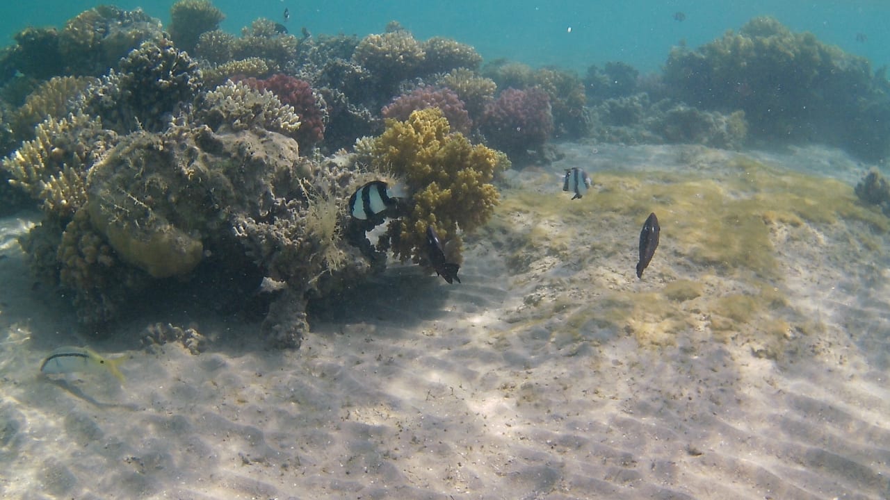 Sport & Freizeit Baron Palace Sahl Hasheesh