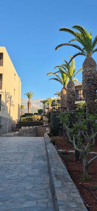 Gartenanlage allsun Hotel Malia Beach