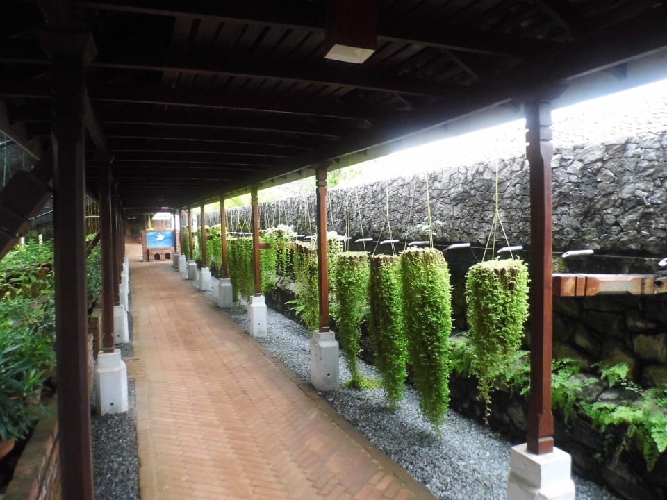 ÜBERDACHTE GÄNGE Hotel Club Bentota