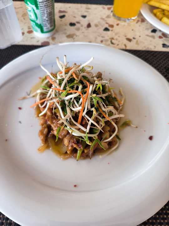 Gastro Seashell Vega