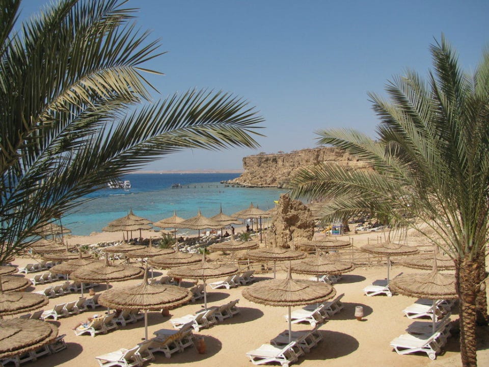 Blick auf den Strand Hotel Reef Oasis Palms