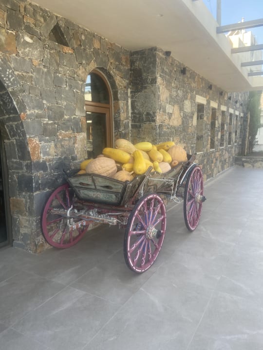 Außenansicht Petousis Hotel & Suites