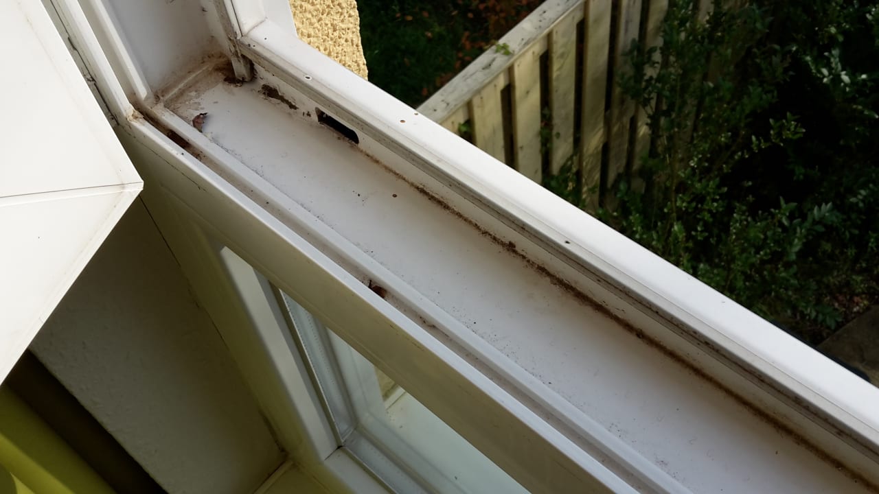 Zimmer Center Parcs Park Bostalsee