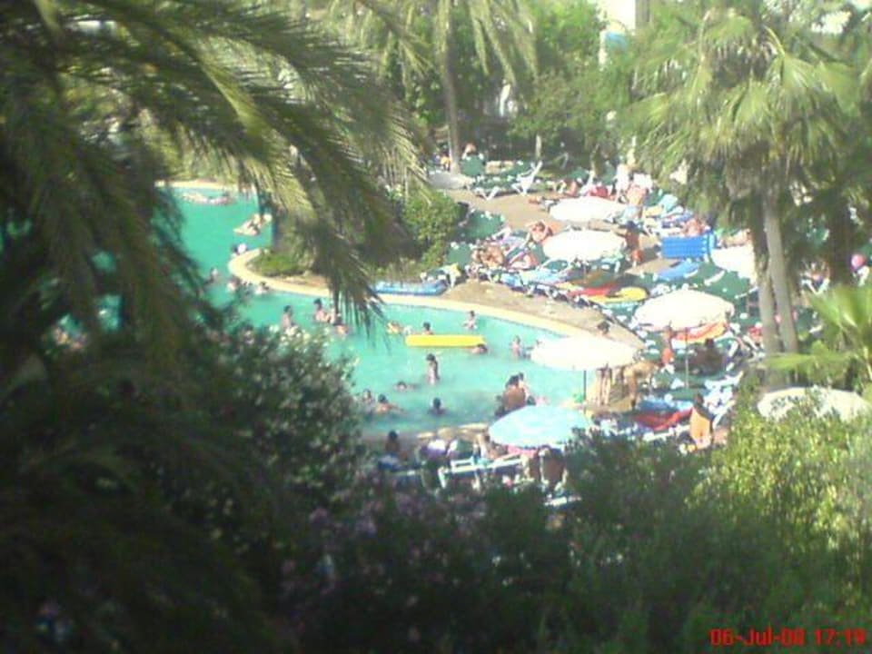 Pool Protur Palmeras Playa Aparthotel