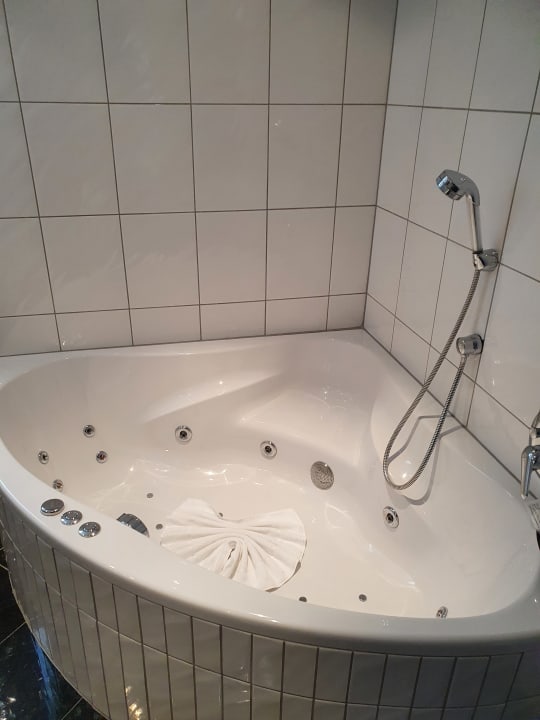 Zimmer Moselstern Hotel Brixiade & Triton