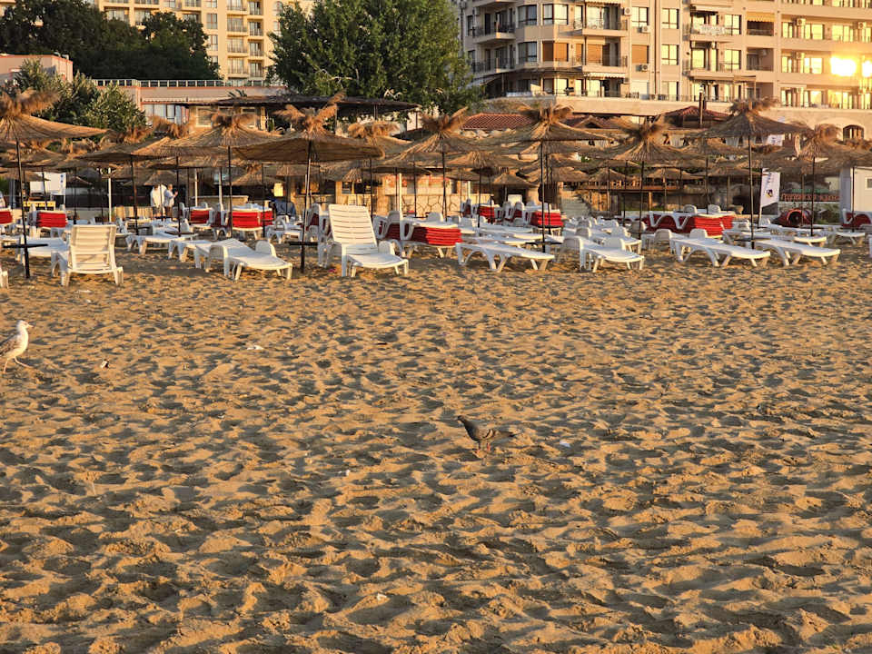 Strand SH Dolce Vita