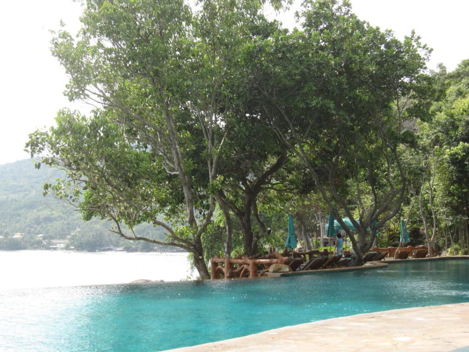 Pool Panviman Resort Koh Phangan