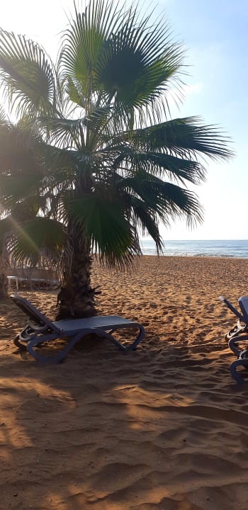 Strand Club Grand Aqua