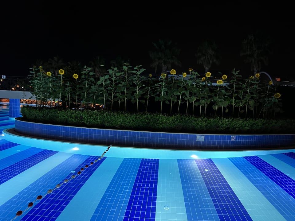 Pool TUI MAGIC LIFE Jacaranda