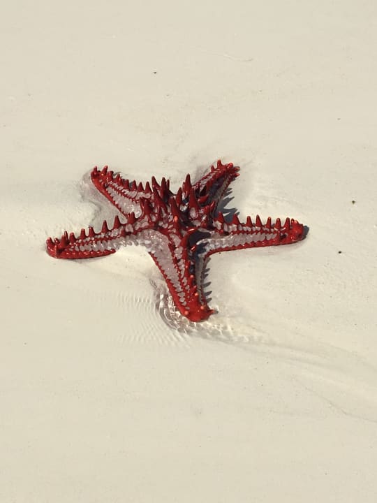 Strand Royal Zanzibar Beach Resort