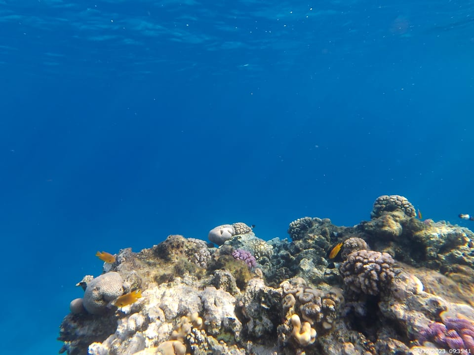 Sport & Freizeit Coral Sun Beach