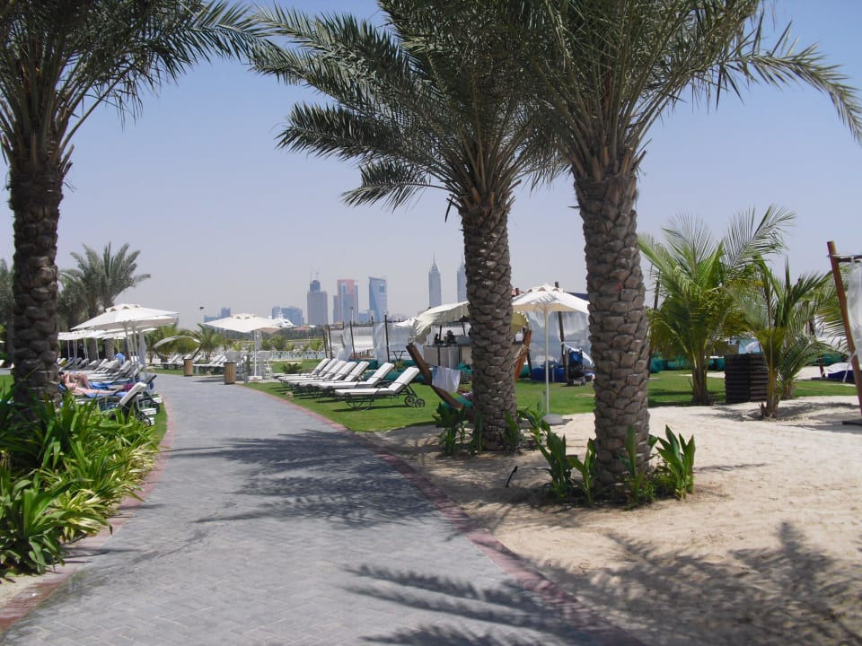 Garten am Pool Rixos The Palm Hotel & Suites