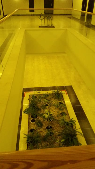 Sonstiges Beach Albatros Resort