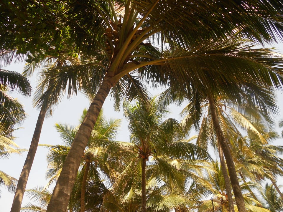 Strand Hotel Golden Star Beach