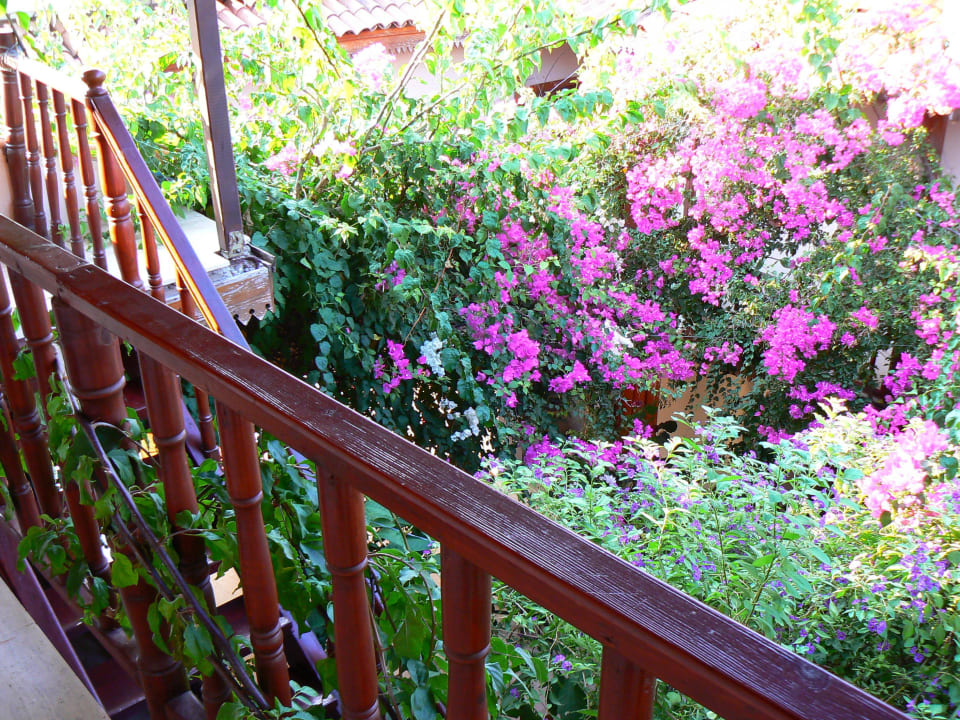 Widok z balkonu Konak Melsa Hotel Dalyan