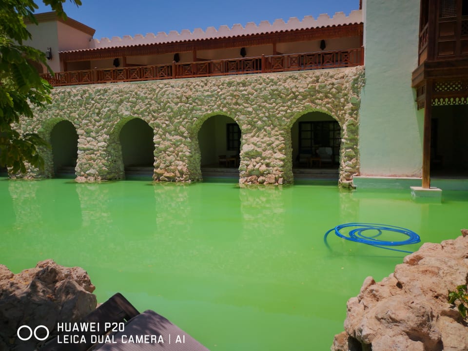 Pool Ghazala Gardens