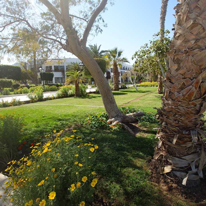 Gartenanlage The Grand Hotel Hurghada