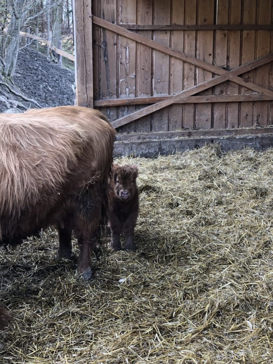 Sonstiges Bauernhof Forellenhof