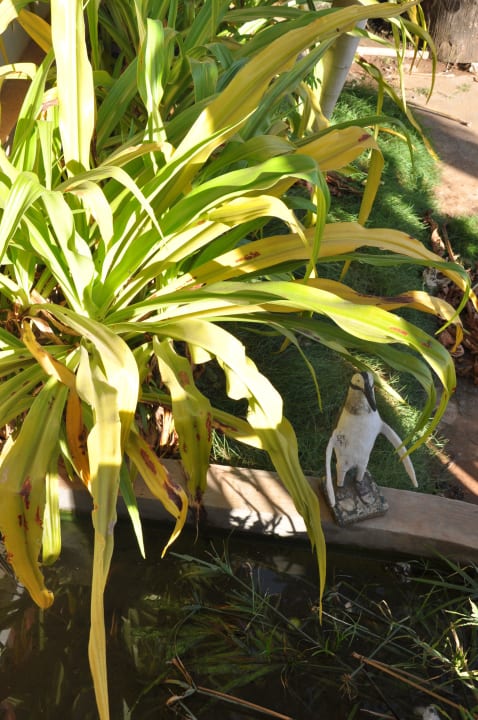 Po prawej od wejścia Hotel Kampong Thom Village