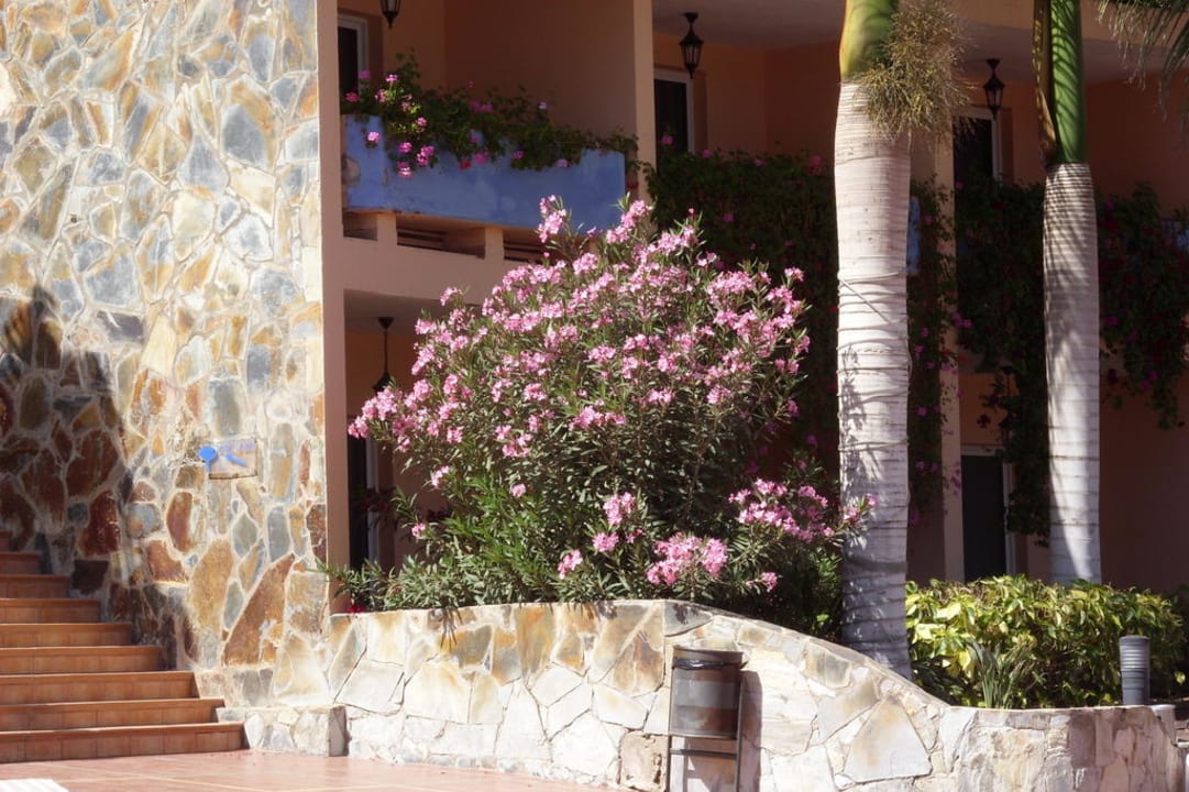 Gang vom Pool Richtung Zimmer Club Hotel Drago Park