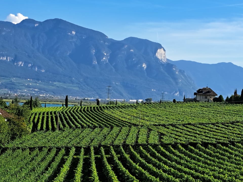 Ausblick Hotel Thalhof am See