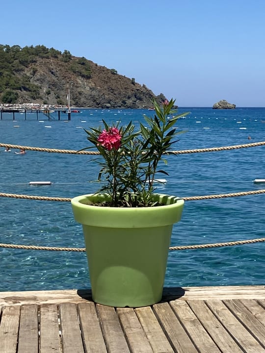 Strand Hotel Marti Myra Holiday Village