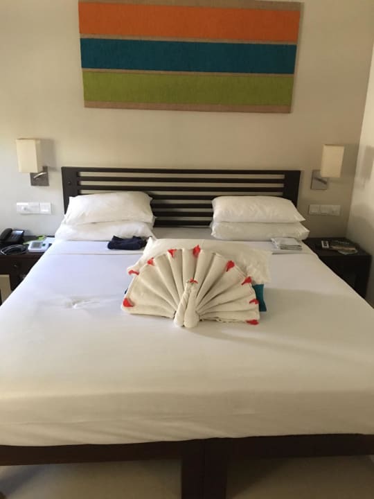 Zimmer Club Hotel Dolphin
