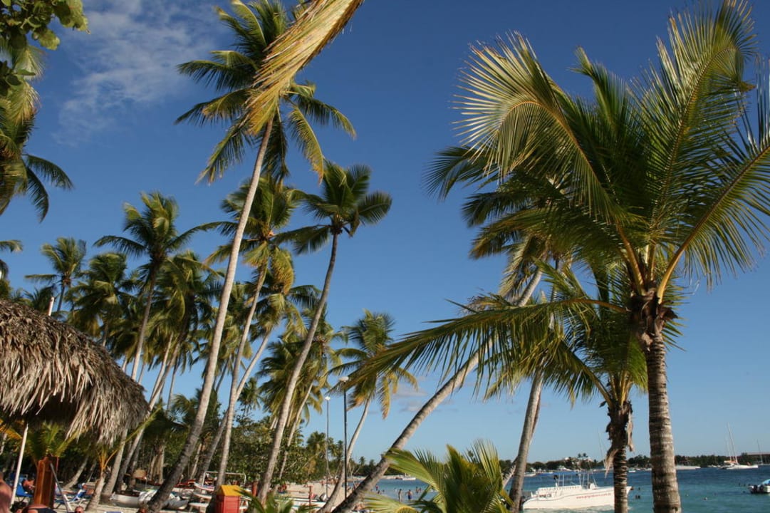 Strandwetter Dreams La Romana Resort & Spa