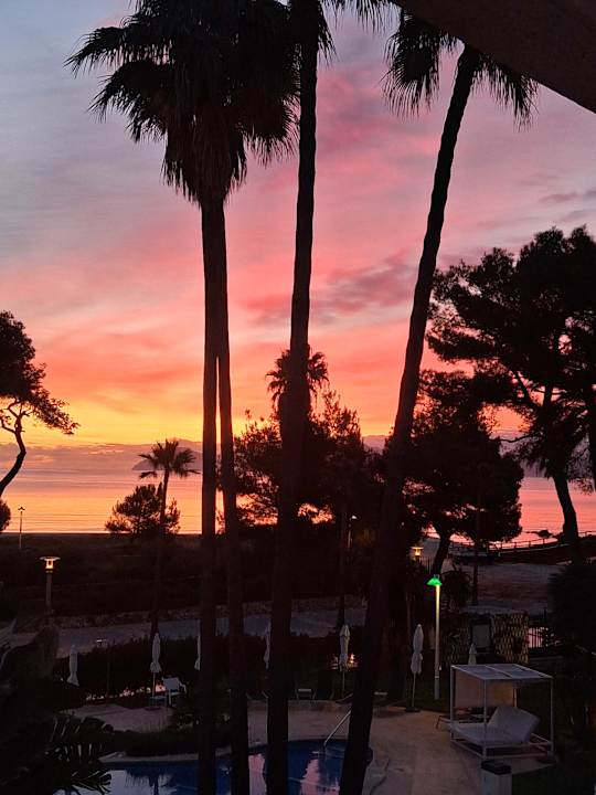 Ausblick allsun App.-Hotel Orquidea Playa