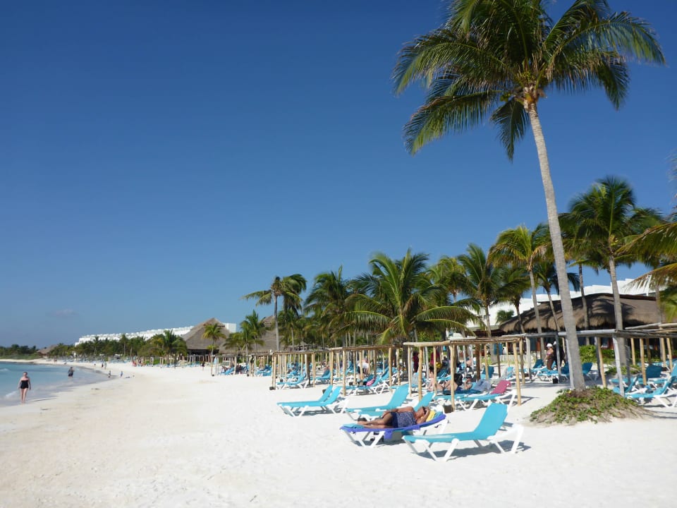 Karibik pur Akumal Bay Beach & Wellness Resort