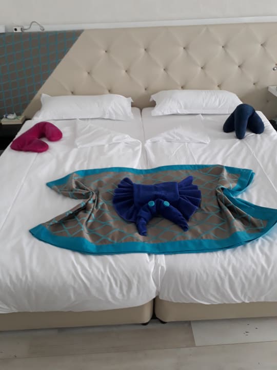 Zimmer Sentido Marea