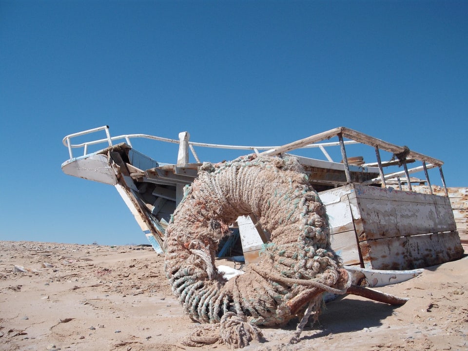 Auf Strandwanderung Pickalbatros Palace Resort