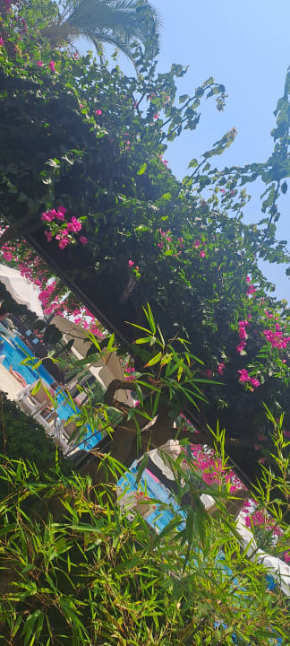 Gartenanlage Sunis Kumköy Beach Resort Hotel & Spa