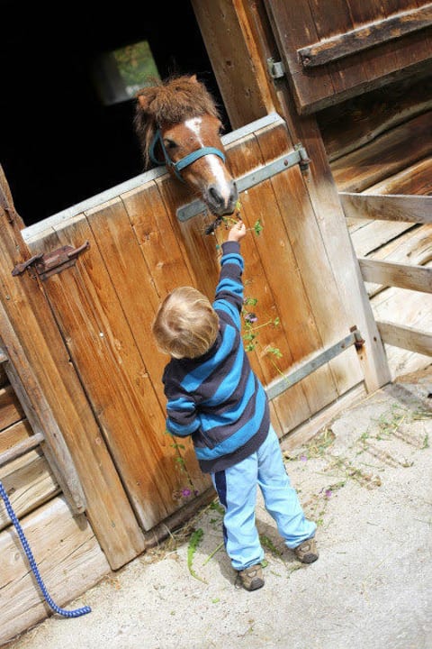 Unser Pony "Wuschl" Farm Resort Geislerhof