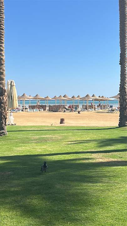 Strand Stella Beach Resort & Spa Makadi Bay