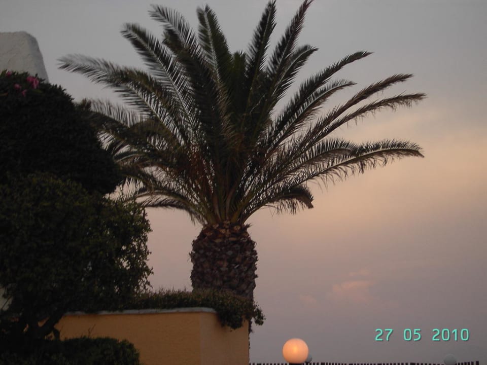 Ein Traum Dimitra Beach Hotel & Suites