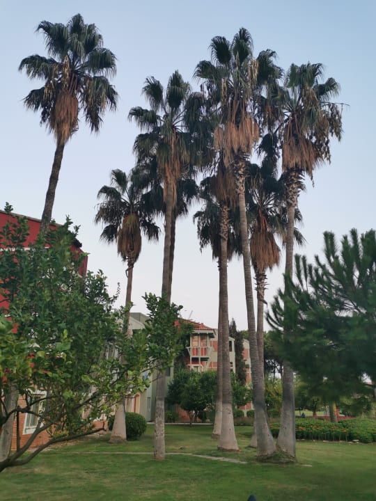 Gartenanlage Megasaray Club Belek