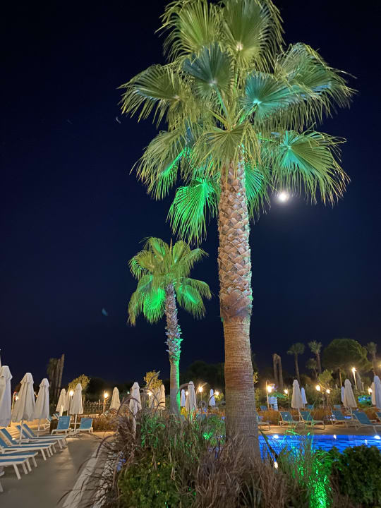 Pool Diamond De Luxe Hotel & Spa