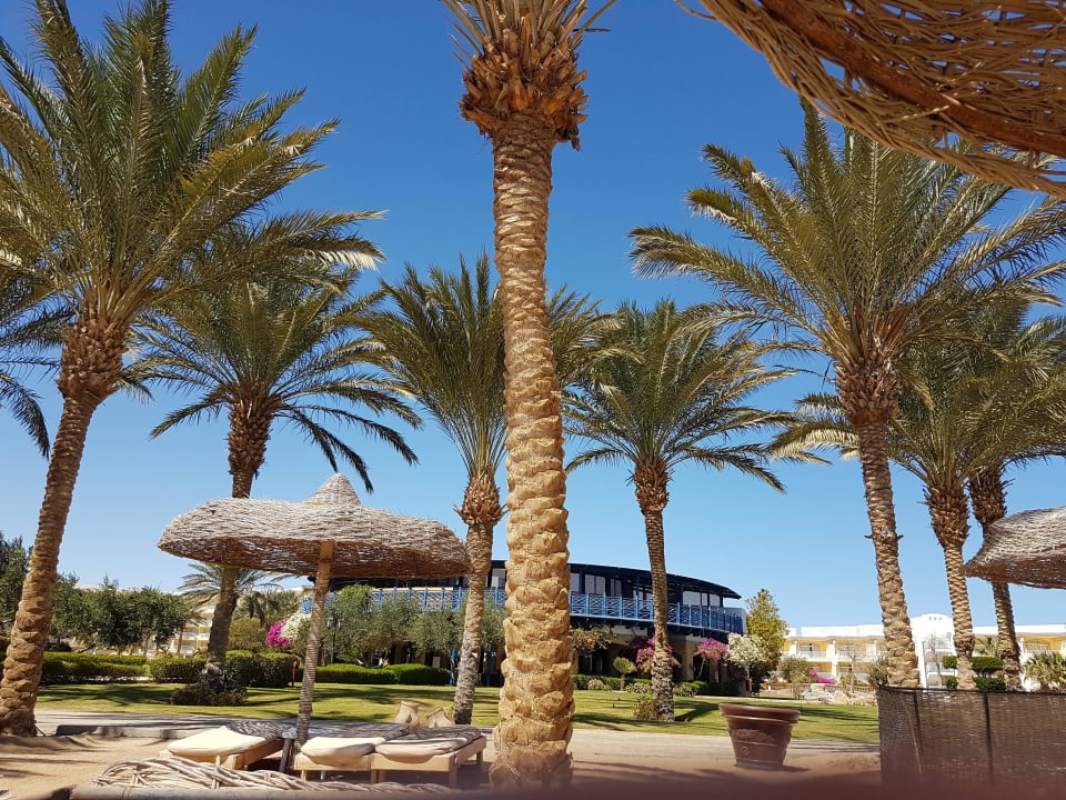 Am Strand Palm Royale Resort - Soma Bay