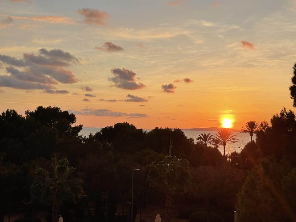 Ausblick Aparthotel Houm Plaza Son Rigo