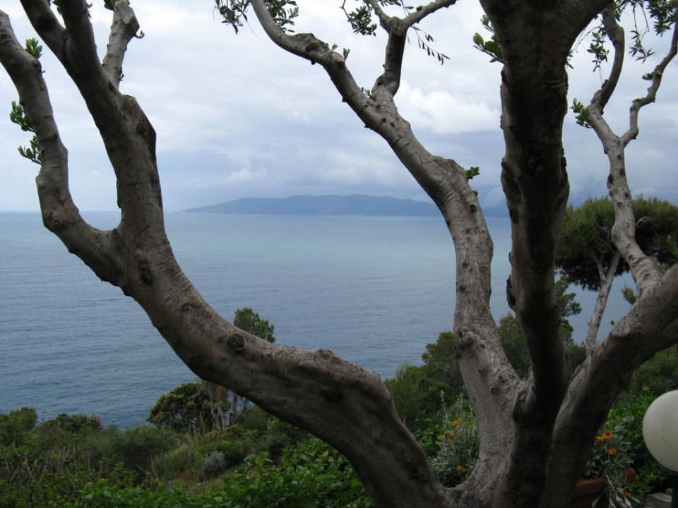 Ausblick vom Garten Boutique Hotel Torre Di Cala Piccola