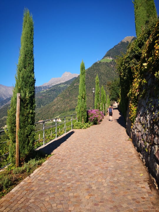 Sonstiges Hotel Alpenhof