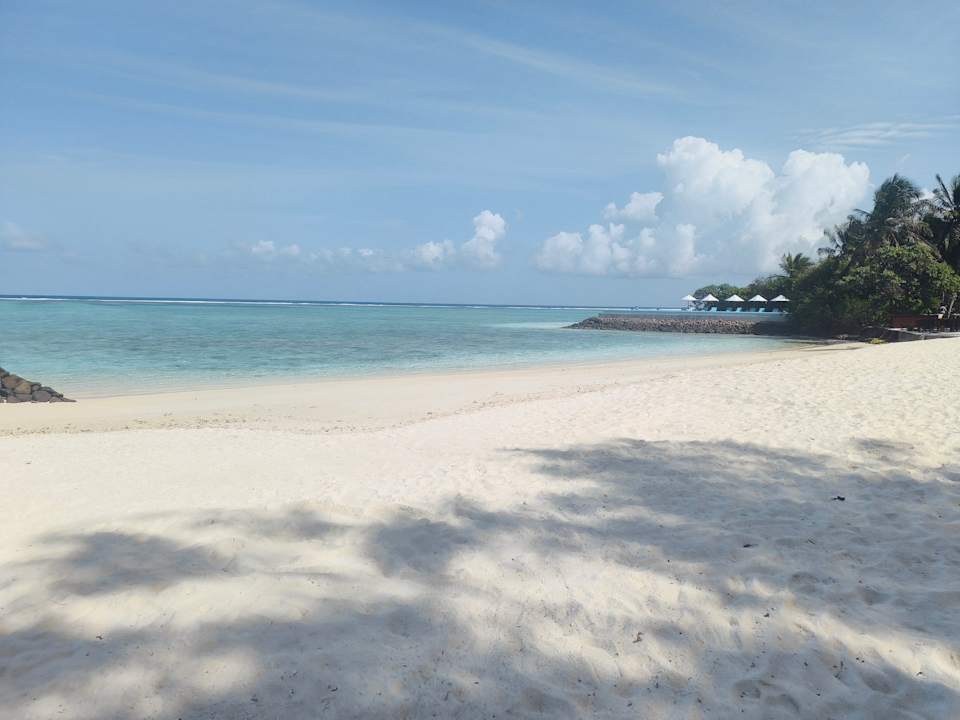 Strand Summer Island Maldives