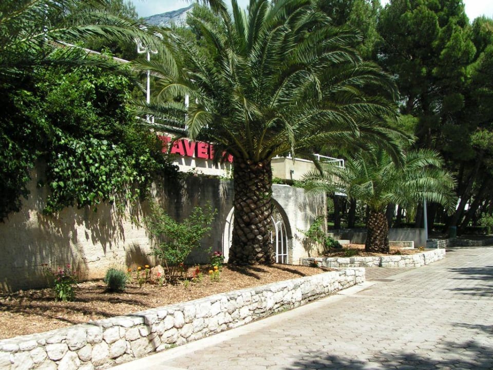 Strandpromenade Hotel Biokovka