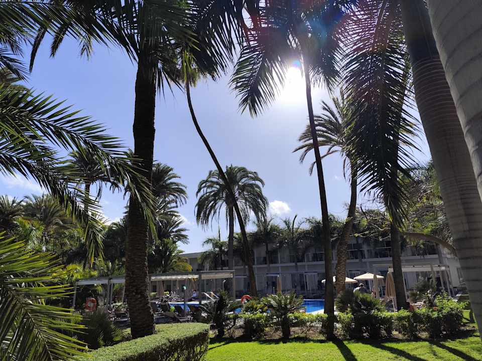 Pool Hotel Riu Palace Oasis