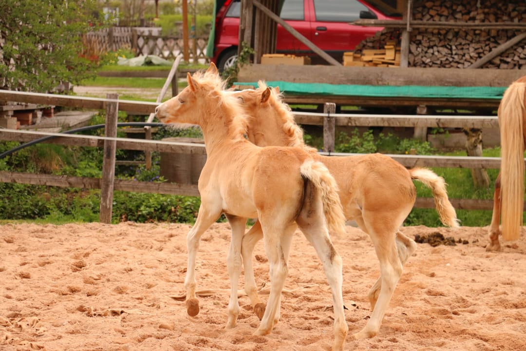 Relax Gästehaus Bramböck