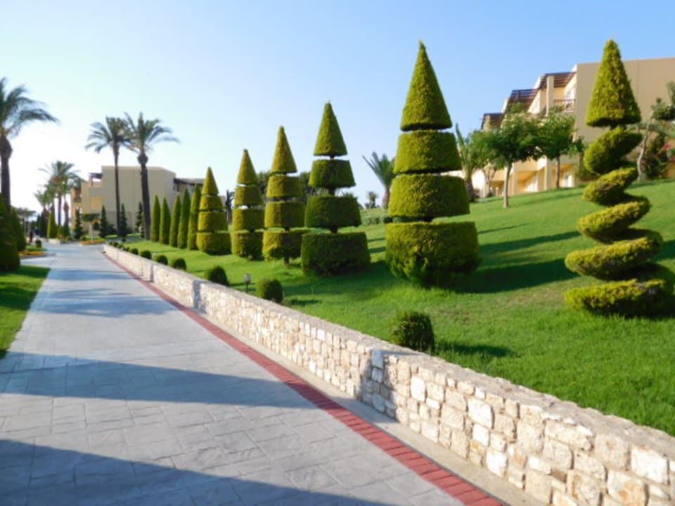 Gartenanlage Hotel Horizon Beach Resort