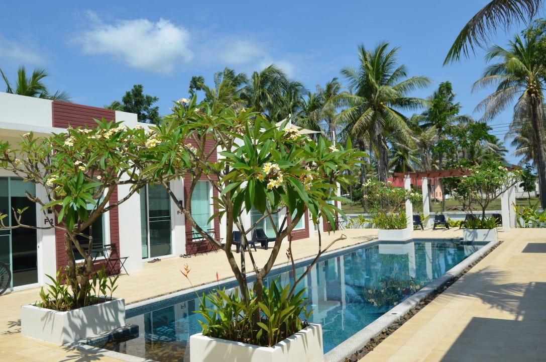 Pool view The Beach Village Resort