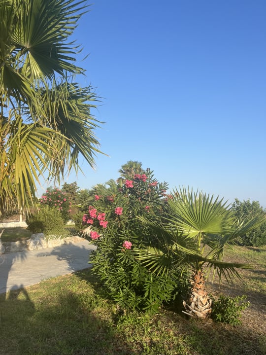 Gartenanlage Natura Park Village Hotel & Spa