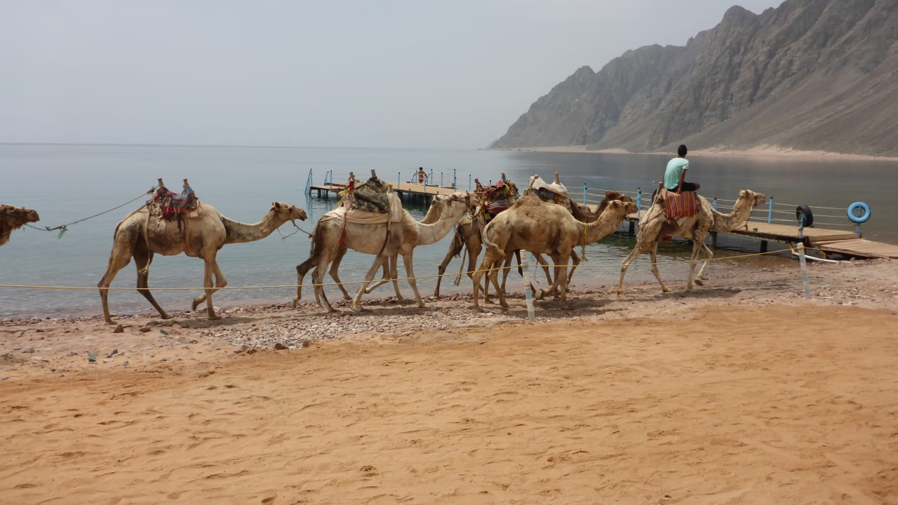 Strand Happy Life Village